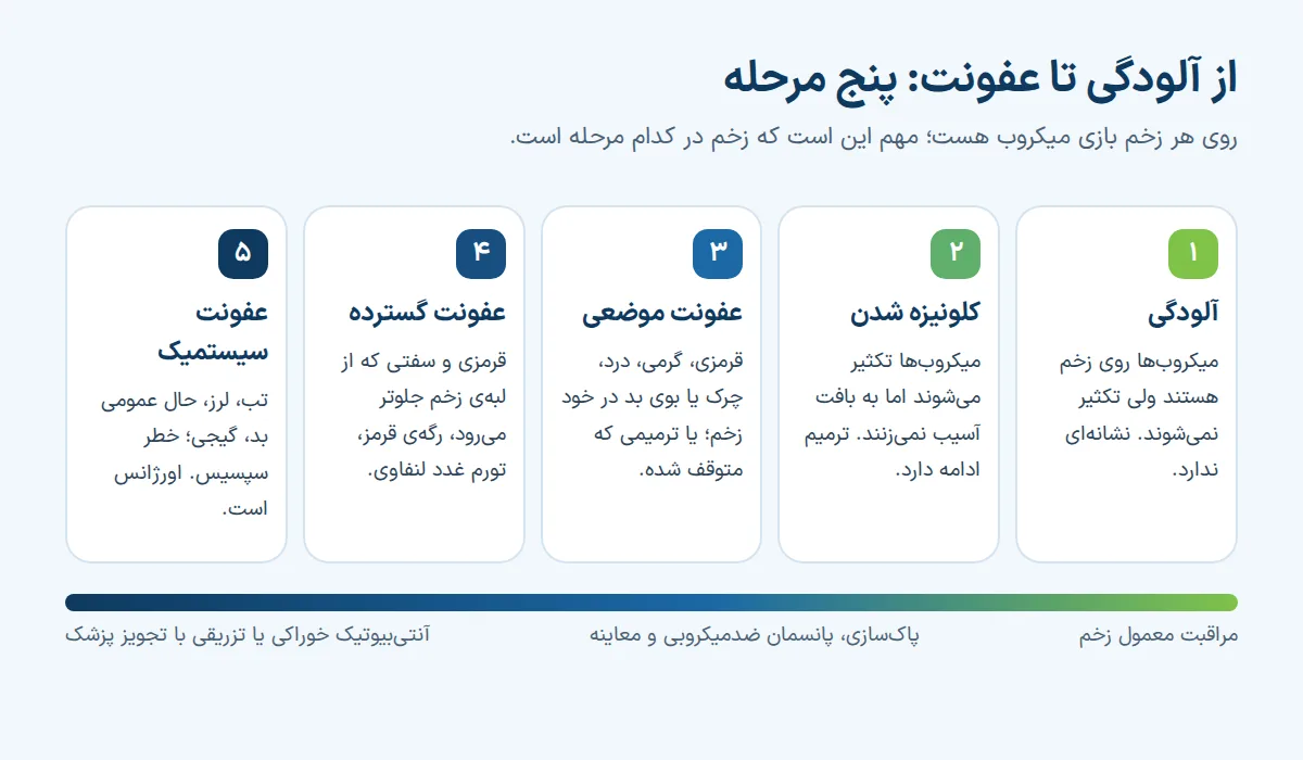 پنج مرحلهی عفونت زخم: آلودگی، کلونیزه شدن، عفونت موضعی، عفونت گسترده و عفونت سیستمیک